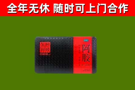 卢湾回收阿胶