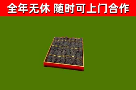 卢湾回收海参